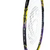 Ракетка бадм. TORRES Carbon PRO6, BD20521,для продв., стерж/обод из карбона,со струнами, фиол за 4&nbsp;477.80 ₽ купить в Новокузнецке