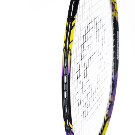 Ракетка бадм. TORRES Carbon PRO6, BD20521,для продв., стерж/обод из карбона,со струнами, фиол за 4&nbsp;477.80 ₽ купить в Новокузнецке
