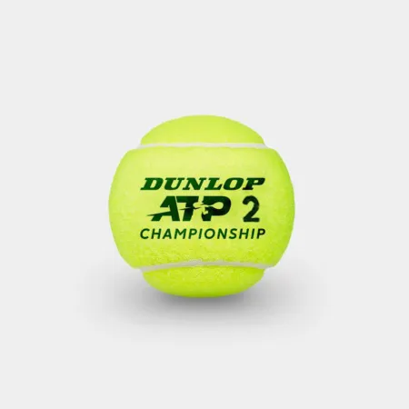 Мяч теннисный Dunlop ATP Championship 3B, 601626, уп.3ш, одобр. ITF, нат.резина,фетр. за 943.50 ₽ купить в Новокузнецке