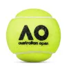 Мяч теннисный Dunlop Australian Open, 601601, уп..3 шт, одобр.ITF,фетр,нат.резина, желтый за 1&nbsp;171.30 ₽ купить в Новокузнецке