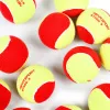 Мяч теннисный детский NS Red, 5021009, уп.12 шт, резина, шерть, нейлон, желто-красный за 2&nbsp;941 ₽ купить в Новокузнецке
