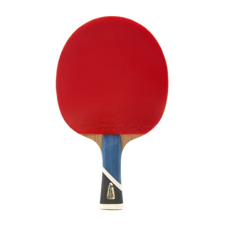 Ракетка для н/т DOUBLE FISH 5A+C, для продвин, ITTF Appr, накл. 2,1 мм, конич. ручка+ 2 мяча V40+мм за 2&nbsp;779.50 ₽ купить в Новокузнецке