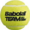 Мяч теннисный BABOLAT Team All Court,502081, уп.4 шт,одобр.ITF, сукно, нат.резина,желтый за 2&nbsp;385.10 ₽ купить в Новокузнецке