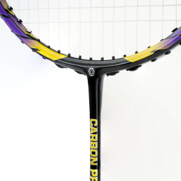 Ракетка бадм. TORRES Carbon PRO6, BD20521,для продв., стерж/обод из карбона,со струнами, фиол за 4&nbsp;477.80 ₽ в Новокузнецке