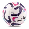 Мяч футб. PUMA Stellar Goal PL Reactivity, 08519301, р.5, 16п, ТПУ, маш. сш, бело-фиолетово-розовый за 6&nbsp;291.70 ₽ купить в Новокузнецке
